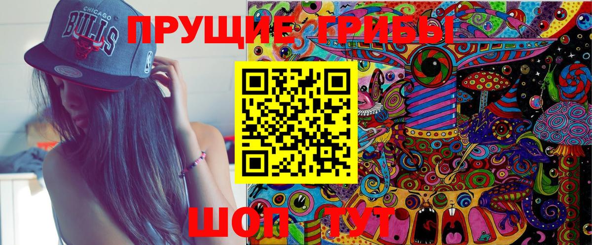 Батайск  Галлюциногенные грибы Psilocybine cubensis  Вход с VPN 