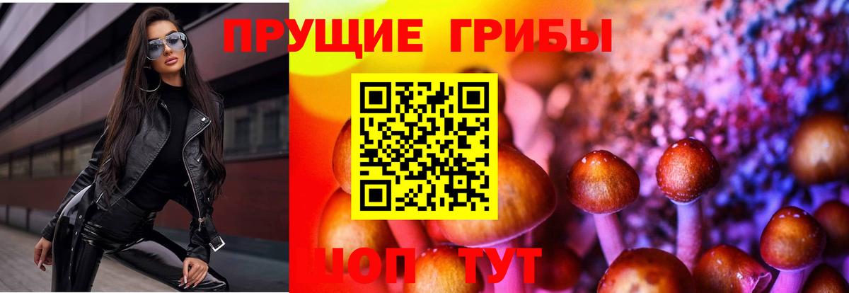 Псилоцибиновые грибы Cubensis Батайск